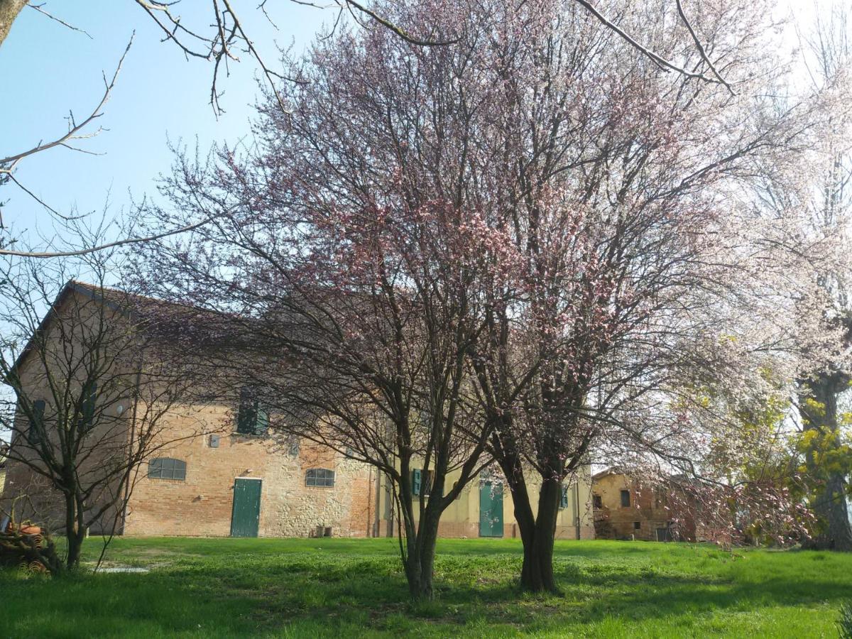 Il Boschetto Di Morgana Bed and Breakfast Castel San Pietro Terme Eksteriør billede