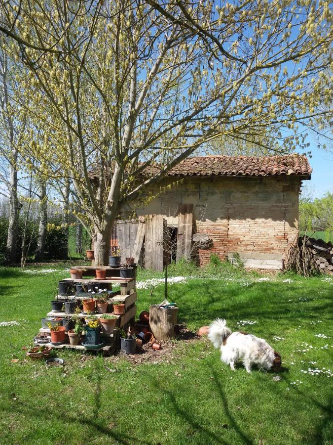 Il Boschetto Di Morgana Bed and Breakfast Castel San Pietro Terme Eksteriør billede