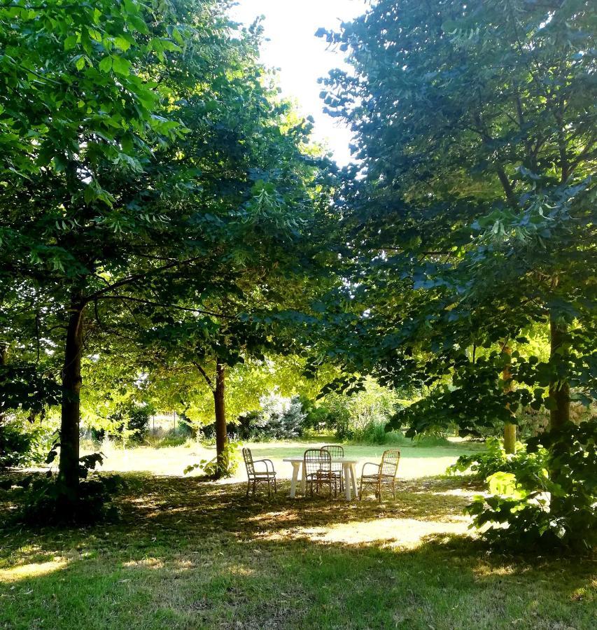 Il Boschetto Di Morgana Bed and Breakfast Castel San Pietro Terme Eksteriør billede