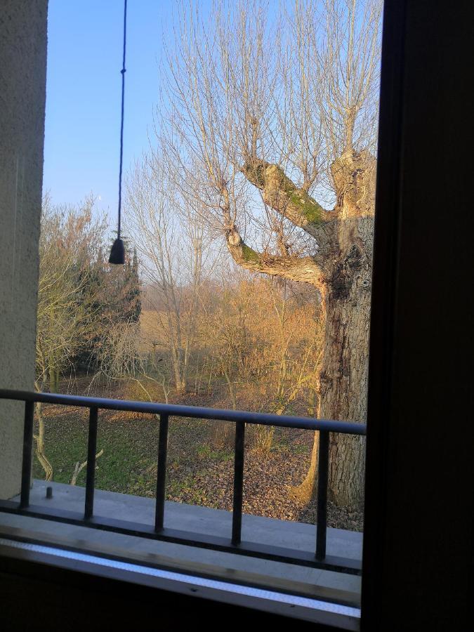 Il Boschetto Di Morgana Bed and Breakfast Castel San Pietro Terme Eksteriør billede